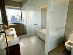 Hana (D10), Condominium #483035911